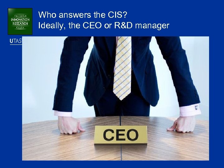 Who answers the CIS? Ideally, the CEO or R&D manager 
