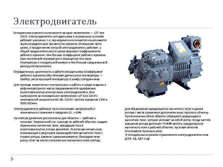 Электродвигатель Холодильные агрегаты выпускаются на одно напряжение — 127 или 220 В. Электродвигатель холодильника