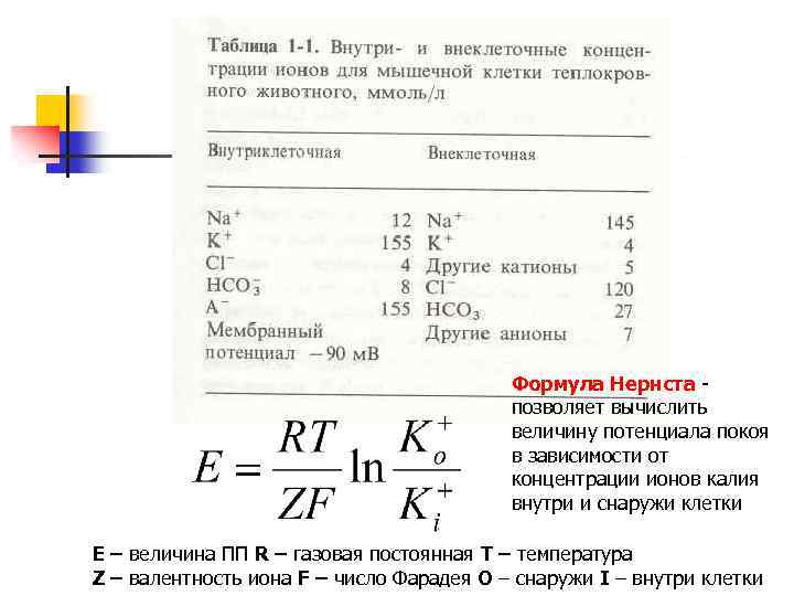 Концентрация ионов в плазме