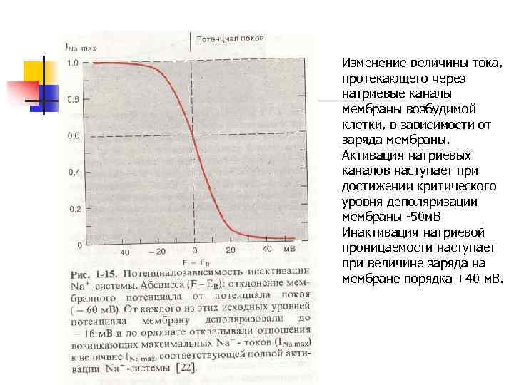 Изменение величины тока, протекающего через натриевые каналы мембраны возбудимой клетки, в зависимости от заряда