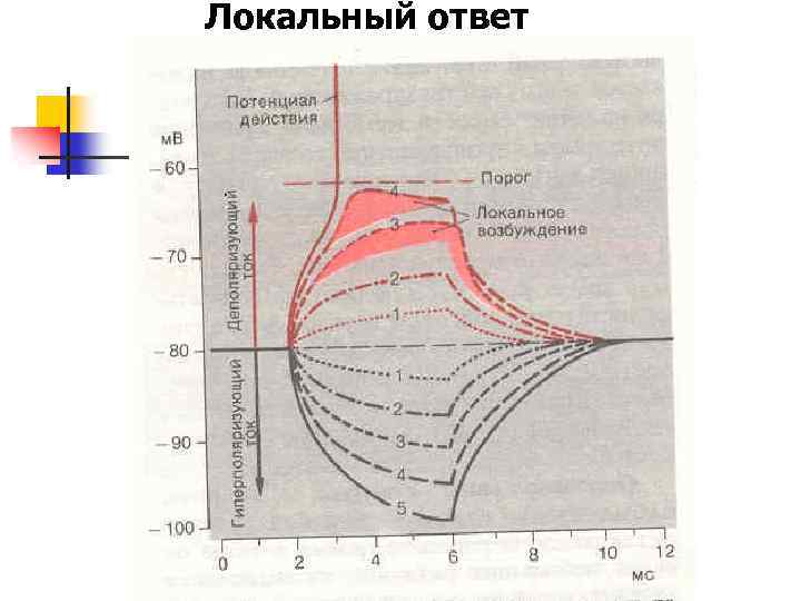 Локальный ответ 