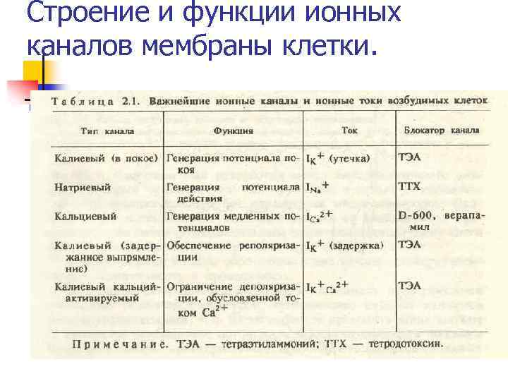 Строение и функции ионных каналов мембраны клетки. 