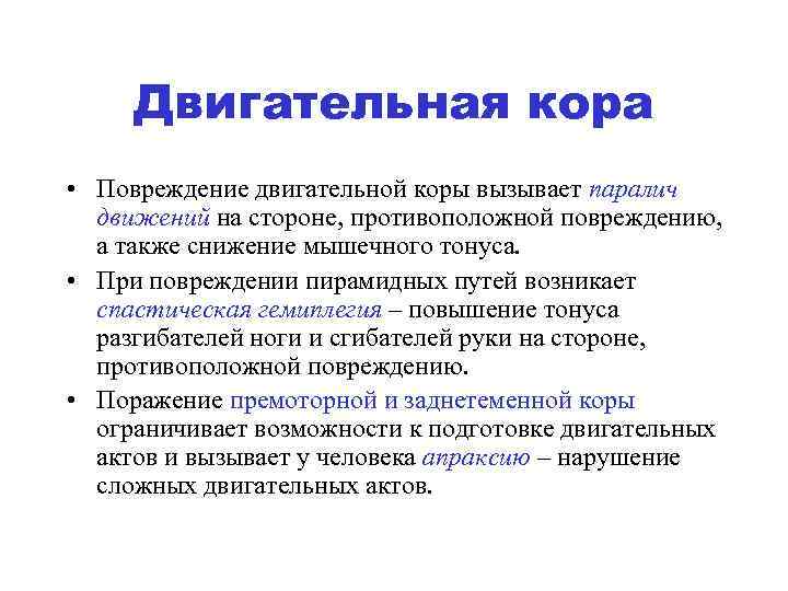 Двигательная кора • Повреждение двигательной коры вызывает паралич движений на стороне, противоположной повреждению, а