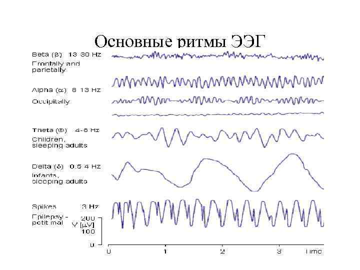 Основные ритмы ЭЭГ 