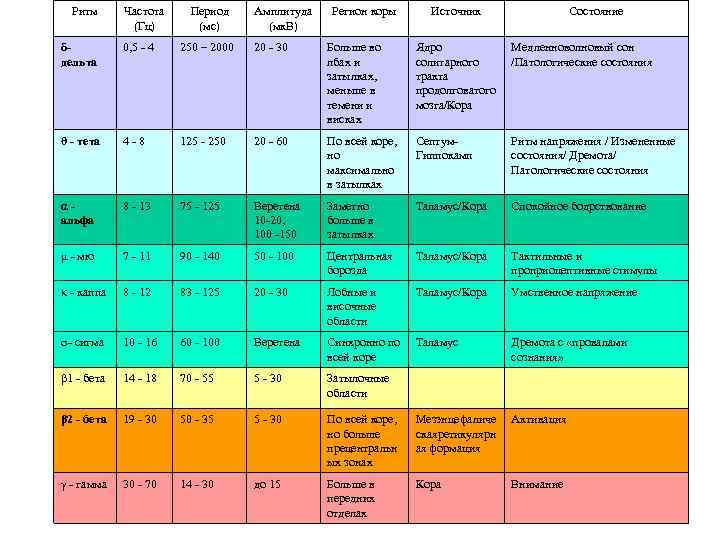 Ритм Частота (Гц) Период (мс) Амплитуда (мк. В) Регион коры Источник Состояние δдельта 0,