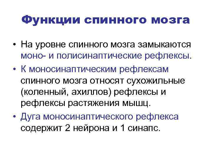 Функции спинного мозга • На уровне спинного мозга замыкаются моно- и полисинаптические рефлексы. •