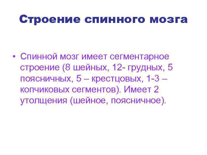 Строение спинного мозга • Спинной мозг имеет сегментарное строение (8 шейных, 12 - грудных,