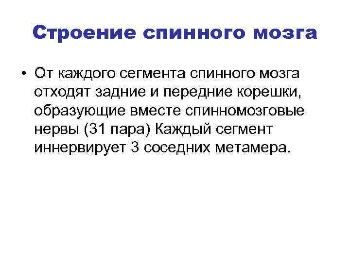 Строение спинного мозга • От каждого сегмента спинного мозга отходят задние и передние корешки,