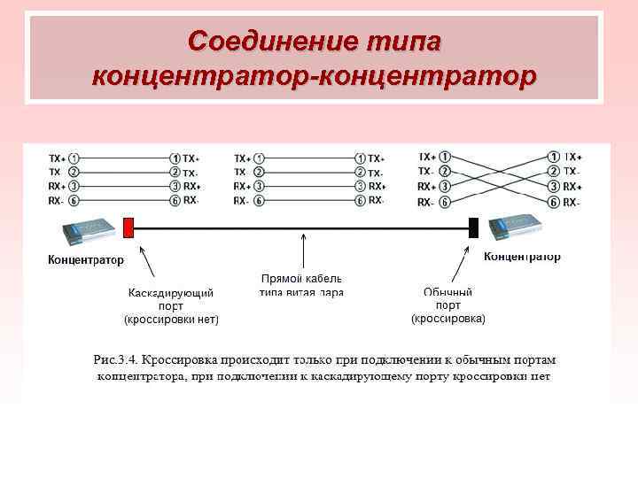 Виды информационных сетей