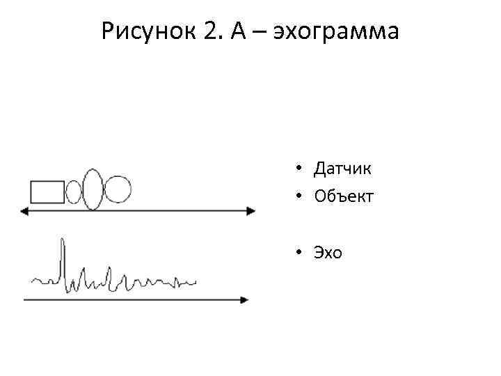 Рисунок 2. А – эхограмма • Датчик • Объект • Эхо 
