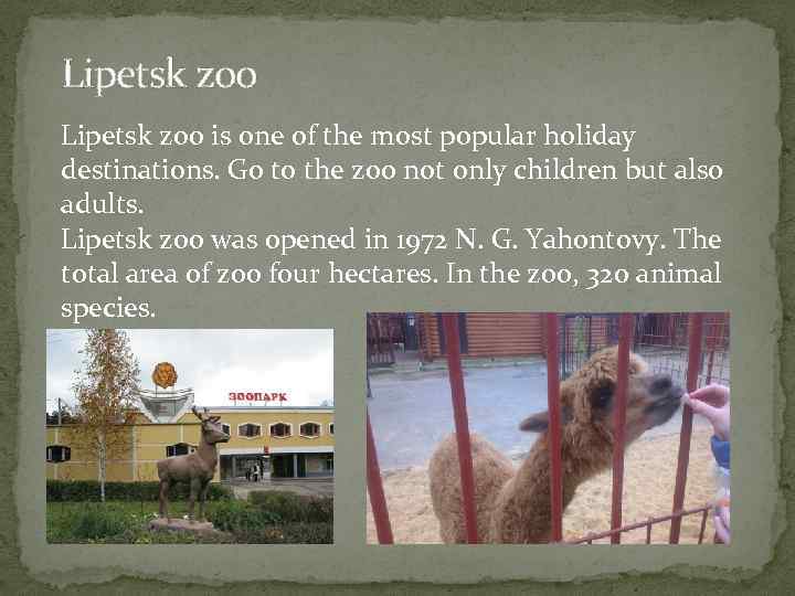 Lipetsk zoo is one of the most popular holiday destinations. Go to the zoo