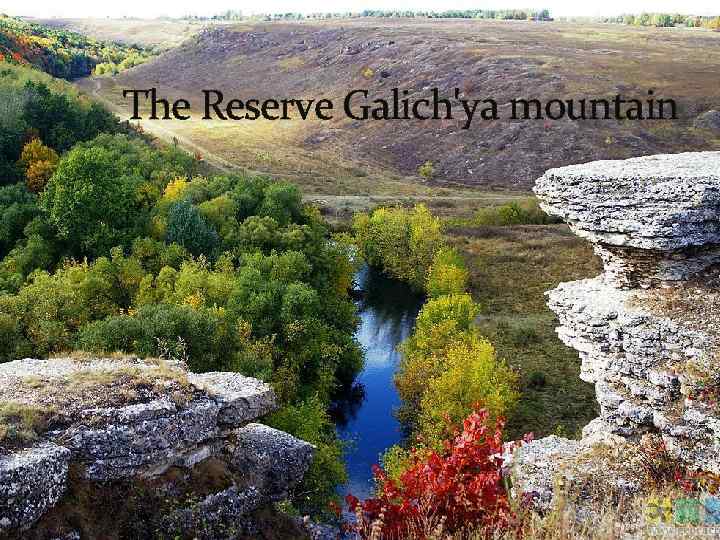 The Reserve Galich'ya mountain 