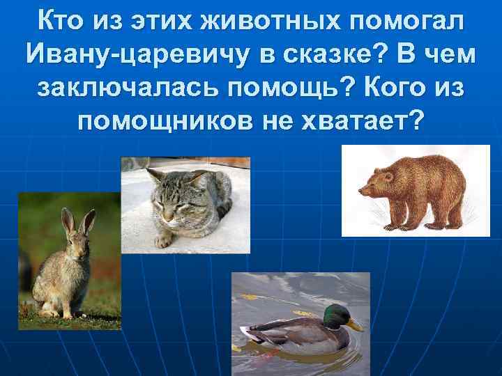 Кто из этих животных помогал Ивану-царевичу в сказке? В чем заключалась помощь? Кого из