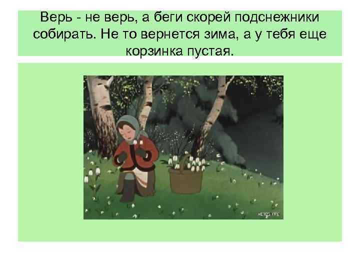 Верь - не верь, а беги скорей подснежники собирать. Не то вернется зима, а