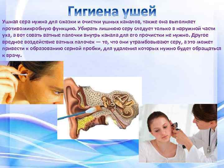 Ушная сера нужна для смазки и очистки ушных каналов, также она выполняет противомикробную функцию.