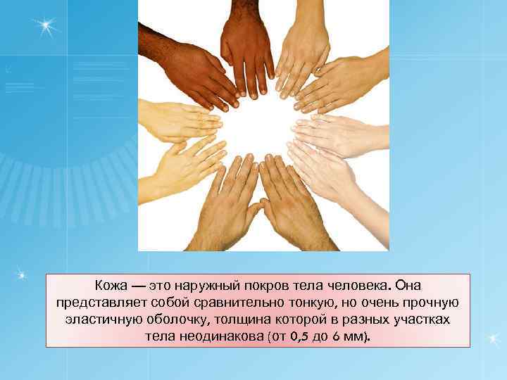 Кожа — это наружный покров тела человека. Она представляет собой сравнительно тонкую, но очень
