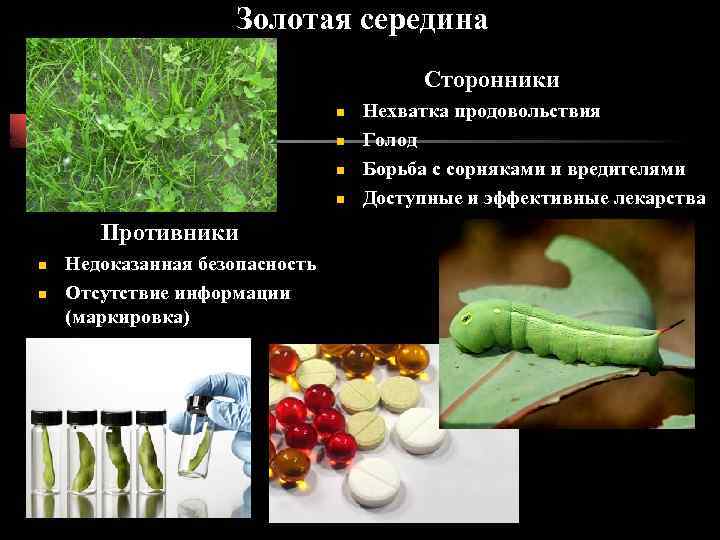Золотая середина Сторонники n n Противники n n Недоказанная безопасность Отсутствие информации (маркировка) Нехватка
