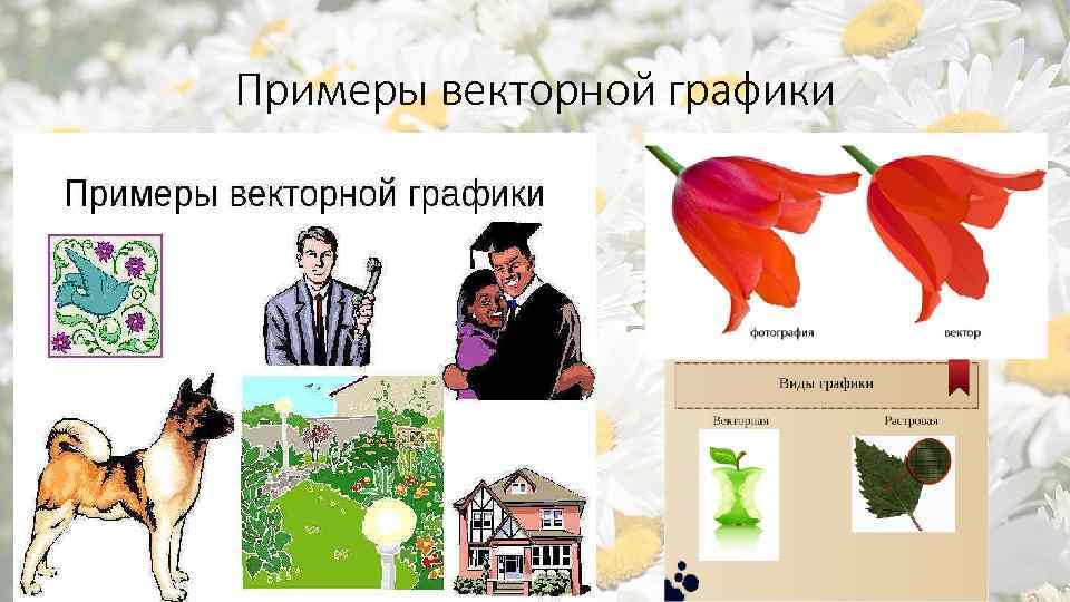 Примеры векторной графики 