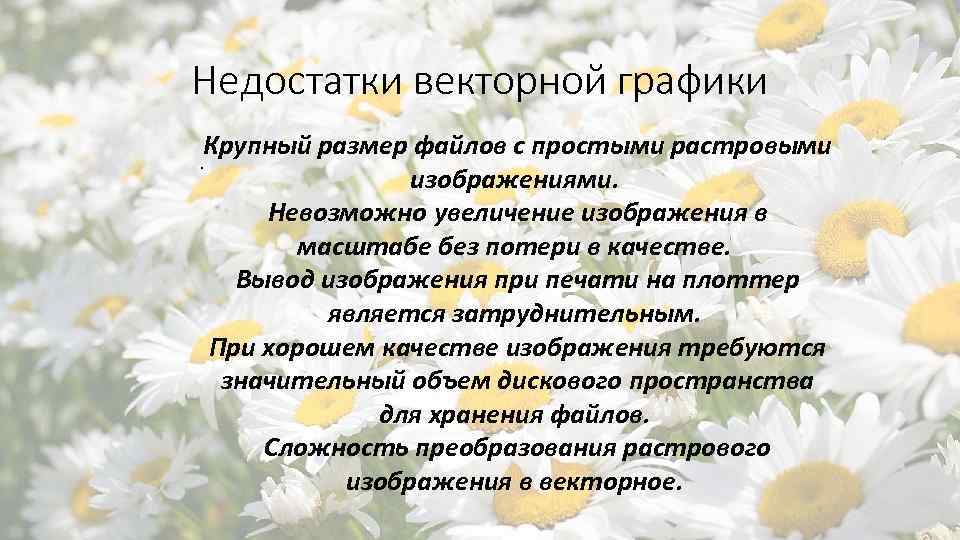 Недостатки векторной графики Крупный размер файлов с простыми растровыми . изображениями. Невозможно увеличение изображения