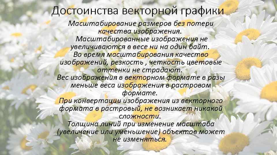 Достоинством какой графики является то что изображение могут быть увеличены без потери качества