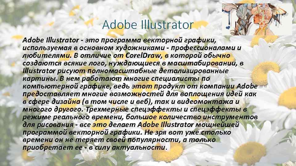 Adobe Illustrator - это программа векторной графики, используемая в основном художниками - профессионалами и