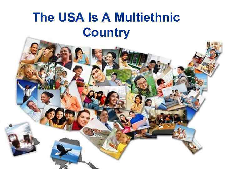 The USA Is A Multiethnic Country 