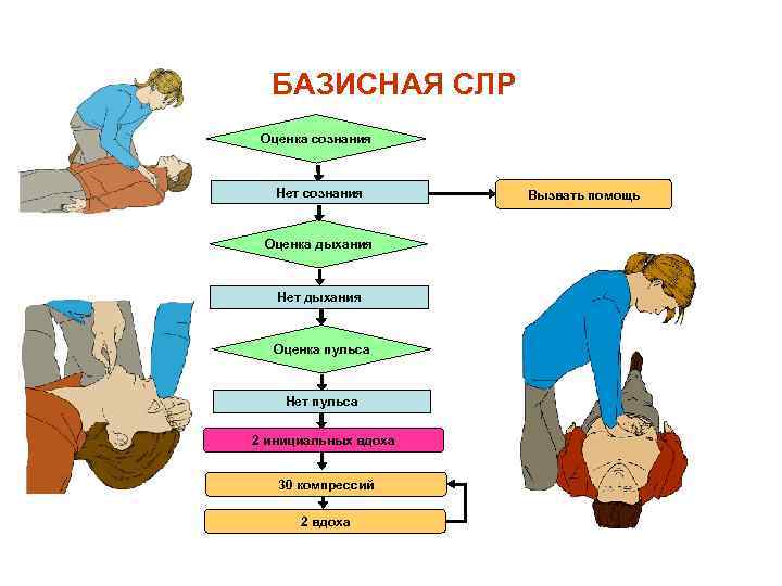 Базовые действия. Алгоритм сердечно легочной реанимации схема. Алгоритм проведения СЛР схема. Схема сердечно легочной реанимации у взрослого. Алгоритм осуществления сердечно-лёгочной реанимации.
