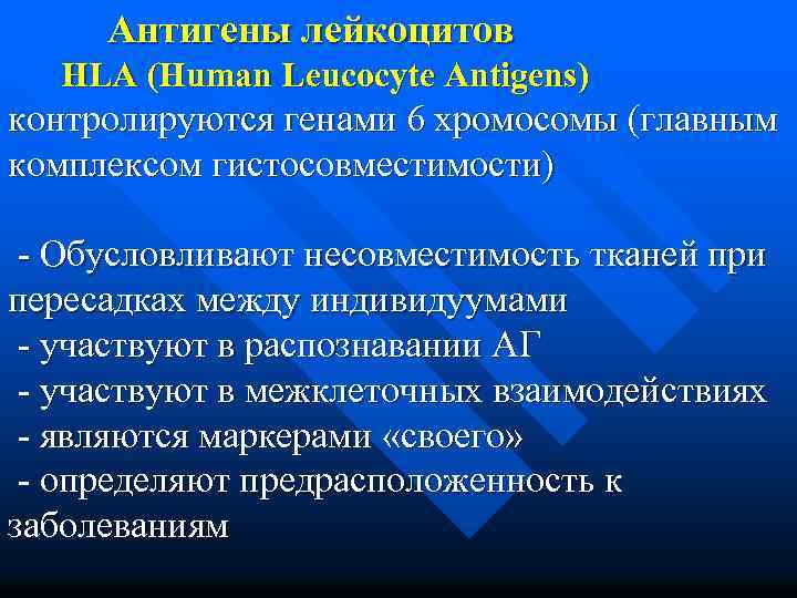 Антигены лейкоцитов HLA (Human Leucocyte Antigens) контролируются генами 6 хромосомы (главным комплексом гистосовместимости) -