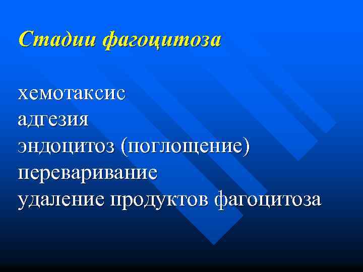 Стадии фагоцитоза хемотаксис адгезия эндоцитоз (поглощение) переваривание удаление продуктов фагоцитоза 