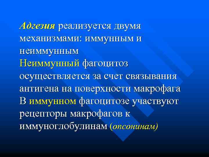 Адгезия реализуется двумя механизмами: иммунным и неиммунным Неиммунный фагоцитоз осуществляется за счет связывания антигена