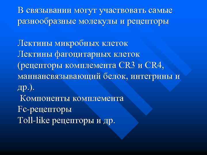 В связывании могут участвовать самые разнообразные молекулы и рецепторы Лектины микробных клеток Лектины фагоцитарных