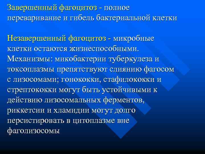 Завершенный фагоцитоз - полное переваривание и гибель бактериальной клетки Незавершенный фагоцитоз - микробные клетки