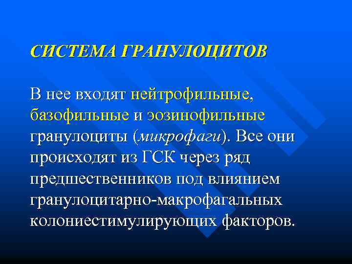 СИСТЕМА ГРАНУЛОЦИТОВ В нее входят нейтрофильные, базофильные и эозинофильные гранулоциты (микрофаги). Все они происходят