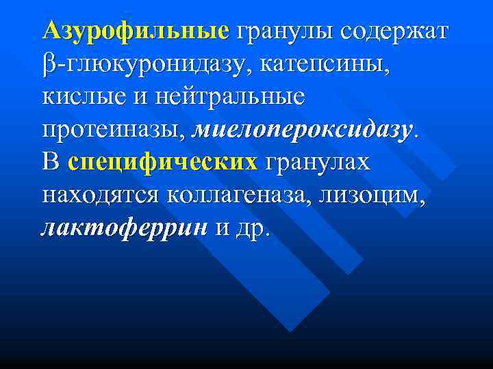 Азурофильные гранулы содержат -глюкуронидазу, катепсины, кислые и нейтральные протеиназы, миелопероксидазу. В специфических гранулах находятся