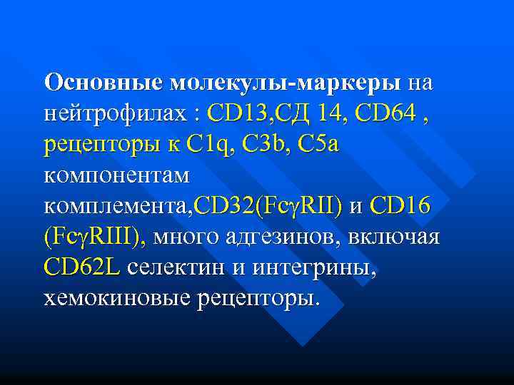 Основные молекулы-маркеры на нейтрофилах : CD 13, СД 14, СD 64 , рецепторы к