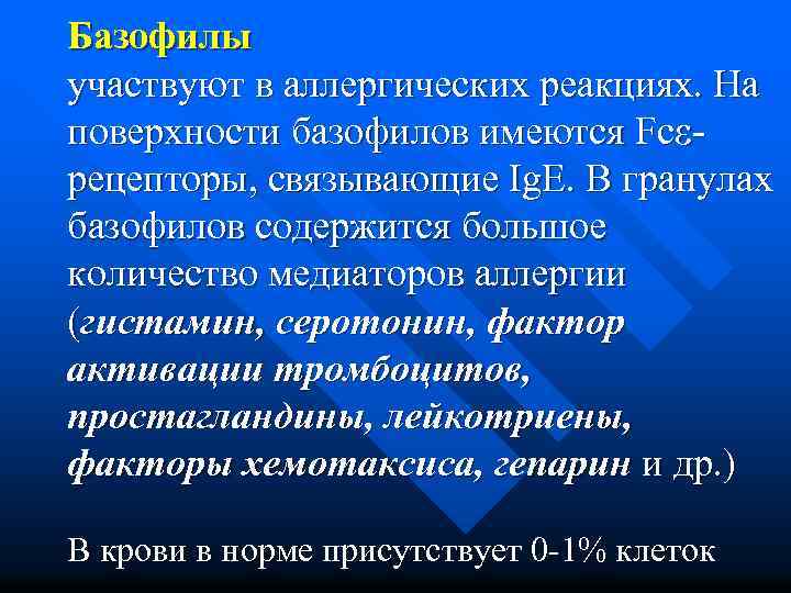 Базофилы участвуют в аллергических реакциях. На поверхности базофилов имеются Fc рецепторы, связывающие Ig. E.