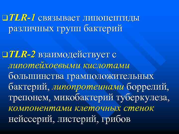 q. TLR-1 связывает липопептиды различных групп бактерий q. TLR-2 взаимодействует с липотейхоевыми кислотами большинства