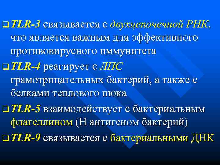 q TLR-3 связывается с двухцепочечной РНК, что является важным для эффективного противовирусного иммунитета q