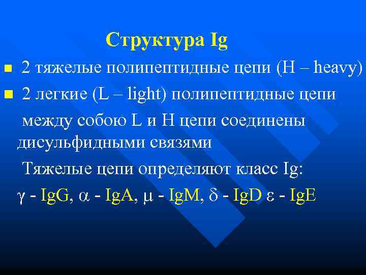  Структура n Ig 2 тяжелые полипептидные цепи (H – heavy) n 2 легкие