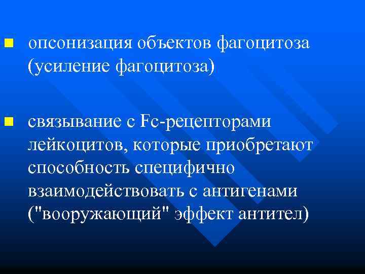 n опсонизация объектов фагоцитоза (усиление фагоцитоза) n связывание с Fc-рецепторами лейкоцитов, которые приобретают способность