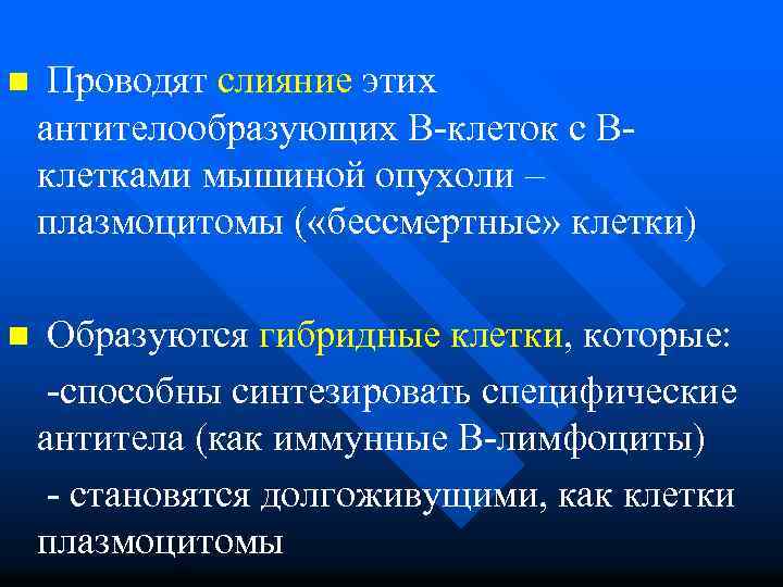 n Проводят слияние этих антителообразующих В-клеток с Вклетками мышиной опухоли – плазмоцитомы ( «бессмертные»