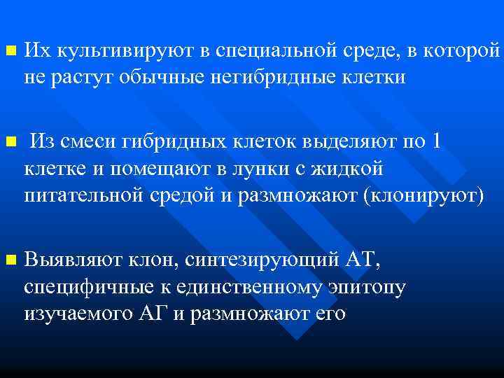 n Их культивируют в специальной среде, в которой не растут обычные негибридные клетки n