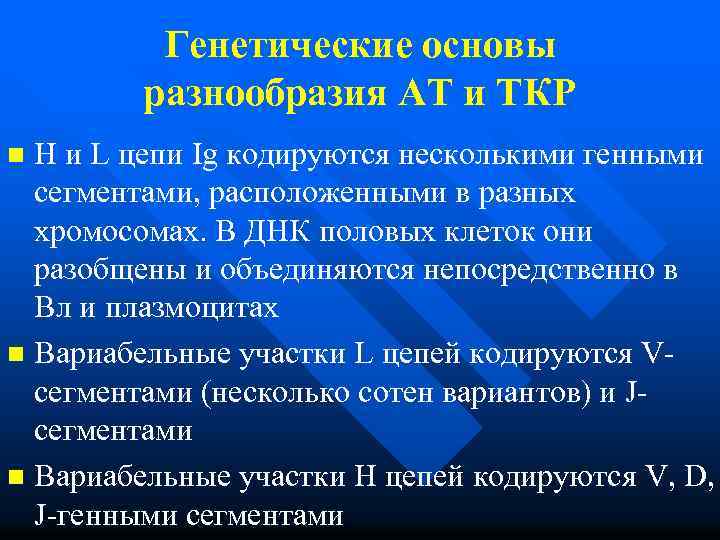 Генетические основы разнообразия АТ и ТКР H и L цепи Ig кодируются несколькими генными