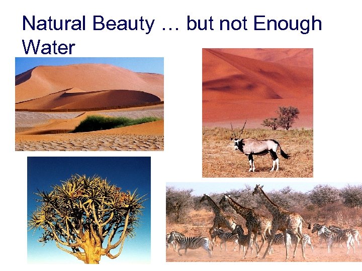 Natural Beauty … but not Enough Water 