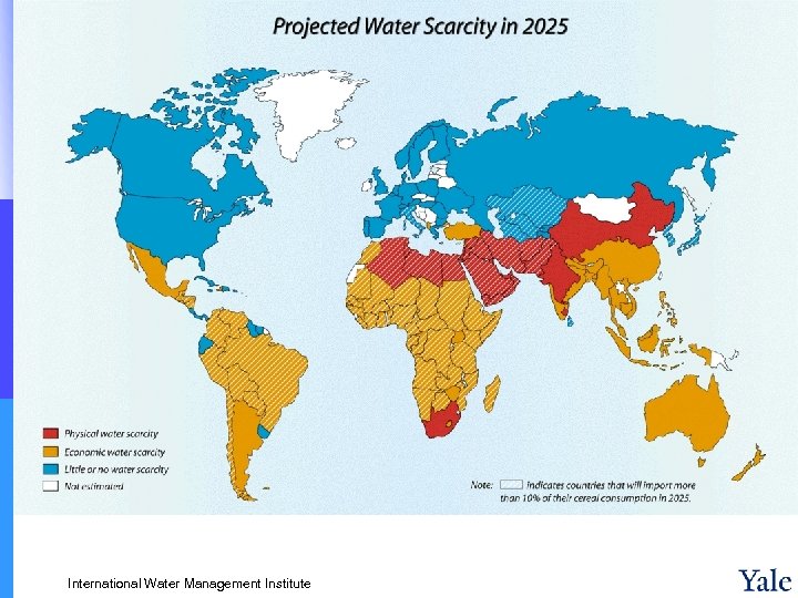 International Water Management Institute 