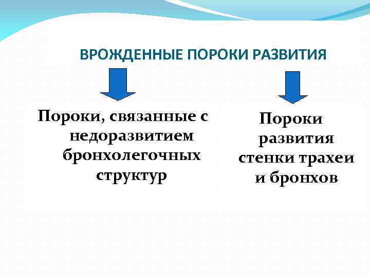 ВРОЖДЕННЫЕ ПОРОКИ РАЗВИТИЯ Пороки, связанные с недоразвитием бронхолегочных структур Пороки развития стенки трахеи и