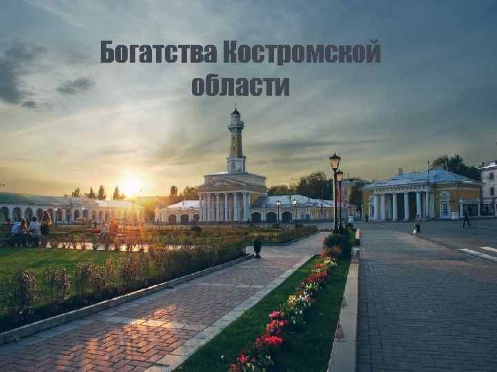 Богатства Костромской области 