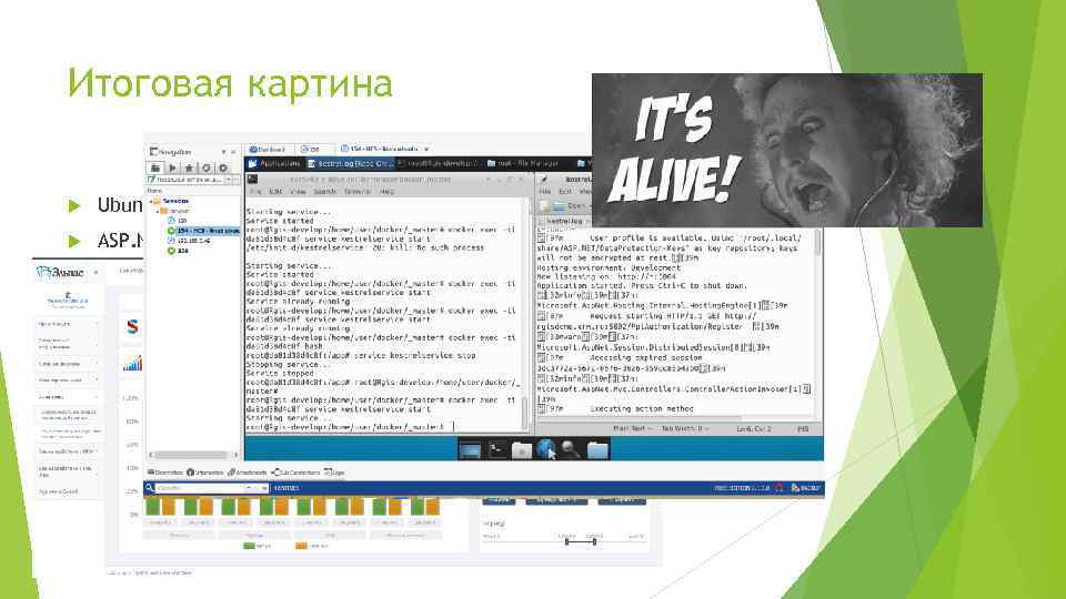 Итоговая картина Ubuntu ASP. NET Core Postgre. SQL(EF+npgsql) NGINX Криптография на Java Stunnel для