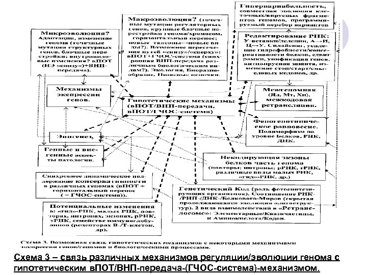 Схема 3 – связь различных механизмов регуляции/эволюции генома с гипотетическим в. ПОТ/ВНП-передача-(ГЧОС-система)-механизмом. 