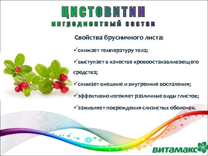ЦИСТОВИТИН ингредиентный состав Свойства брусничного листа: üснижает температуру тела; üвыступает в качестве кровоостанавливающего средства;
